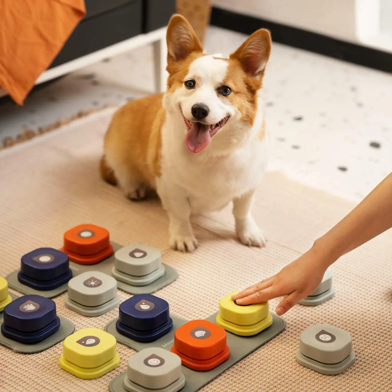 🐾 Interactive Dog Talking Buttons with Mat – Fun &amp; Effective Training Tool