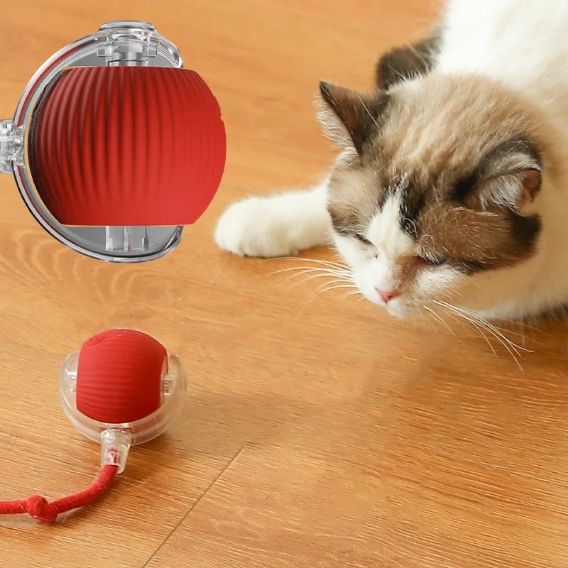 Interactive Auto Rolling Cat Toy – USB Rechargeable Smart Ball 🐾